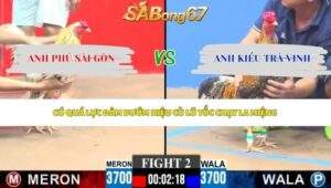 Trận 2 bồ CPC3 17/5/2026