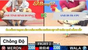 Trận 2 bồ CPC3 25/5/2026