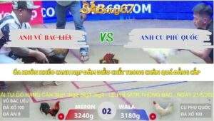 Trận 2 bồ Xà Xía 14/5/2026