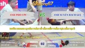Trận 2 bồ Xà Xía 6/5/2026