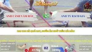 Trận 2 bồ Xà Xía 7/5/2026