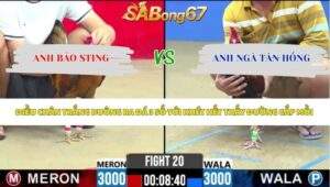 Trận 20 bồ CPC2 15/5/2026
