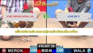 Trận 20 bồ CPC3 21/5/2026