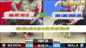 Trận 20 bồ CPC2 13/5/2026