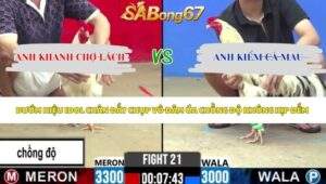 Trận 21 bồ CPC2 13/5/2026