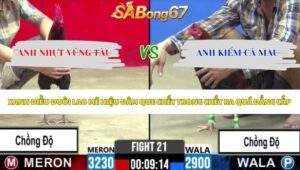 Trận 21 bồ CPC2 15/5/2026