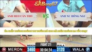 Trận 21 bồ CPC2 19/5/2026