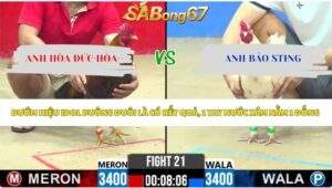 Trận 21 bồ CPC2 22/5/2026