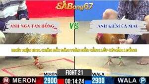 Trận 21 bồ CPC2 23/5/2026