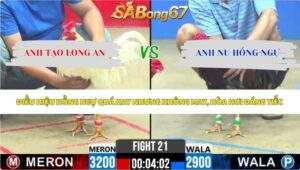 Trận 21 bồ CPC2 28/5/2026