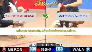 Trận 21 bồ CPC3 9/5/2026
