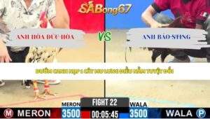 Trận 22 bồ CPC2 27/5/2026