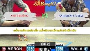 Trận 23 bồ CPC2 15/5/2026
