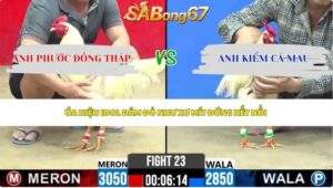 Trận 23 bồ CPC2 30/5/2026