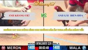 Trận 23 Gà Tre bồ C3 2/5/2026
