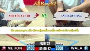 Trận 24 bồ CPC2 15/5/2026