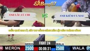 Trận 24 bồ CPC2 2/5/2026