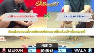 Trận 24 bồ CPC2 27/5/2026
