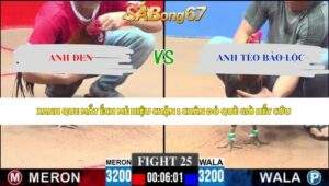 Trận 25 bồ CPC3 31/5/2026