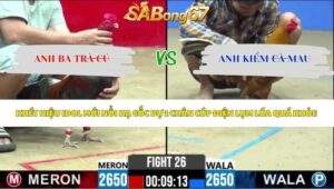 Trận 26 bồ CPC2 15/5/2026