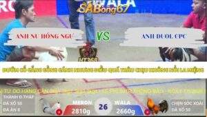 Trận 26 bồ Xà Xía 7/5/2026