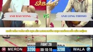Trận 28 bồ CPC2 13/5/2026