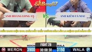 Trận 28 bồ CPC2 21/5/2026