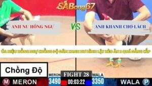 Trận 28 bồ CPC3 17/5/2026