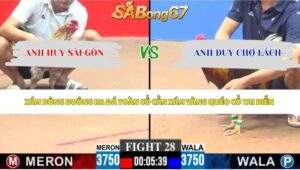 Trận 28 bồ CPC3 9/5/2026
