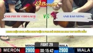 Trận 29 bồ CPC2 8/5/2026
