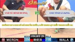 Trận 29 bồ CPC3 16/5/2026