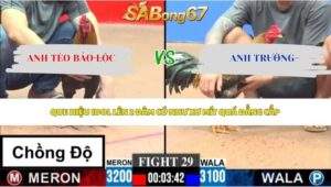 Trận 29 bồ CPC3 31/5/2026: