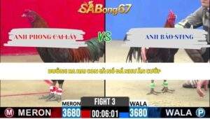 Trận 3 bồ CPC2 1/5/2026