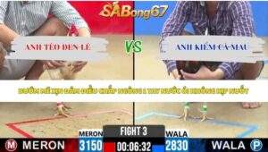 Trận 3 bồ CPC2 13/5/2026
