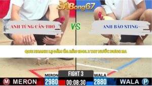 Trận 3 bồ CPC2 19/5/2026