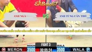 Trận 3 bồ CPC2 23/5/2026