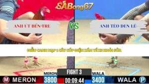 Trận 3 bồ CPC2 27/5/2026