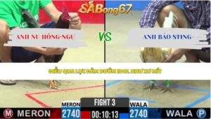 Trận 3 bồ CPC2 29/5/2026
