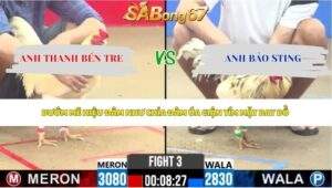 Trận 3 bồ CPC2 6/5/2026