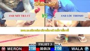 Trận 3 bồ CPC3 2/5/2026