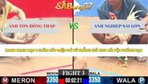Trận 3 bồ CPC3 21/5/2026