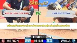 Trận 3 bồ CPC3 25/5/2026