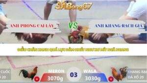 Trận 3 bồ Xà Xía 1/5/2026