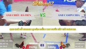 Trận 3 bồ Xà Xía 3/5/2026