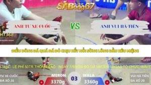 Trận 3 bồ Xà Xía 5/5/2026