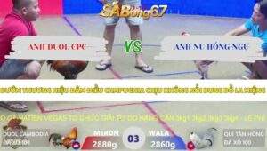 Trận 3 bồ Xà Xía 7/5/2026