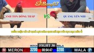 Trận 30 bồ CPC3 9/5/2026
