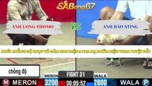 Trận 31 bồ CPC2 13/5/2026