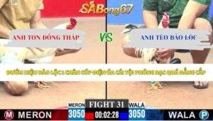 Trận 31 bồ CPC3 10/5/2026