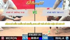 Trận 31 bồ CPC3 16/5/2026
